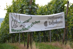 070 Burgholzhofturm