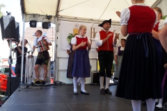IMG-20190702-WA0003