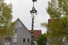 036 Maibaum