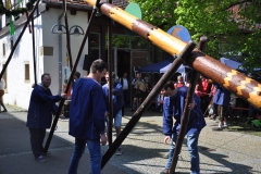 DSC_0492
