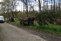 IMG_20230325_124638