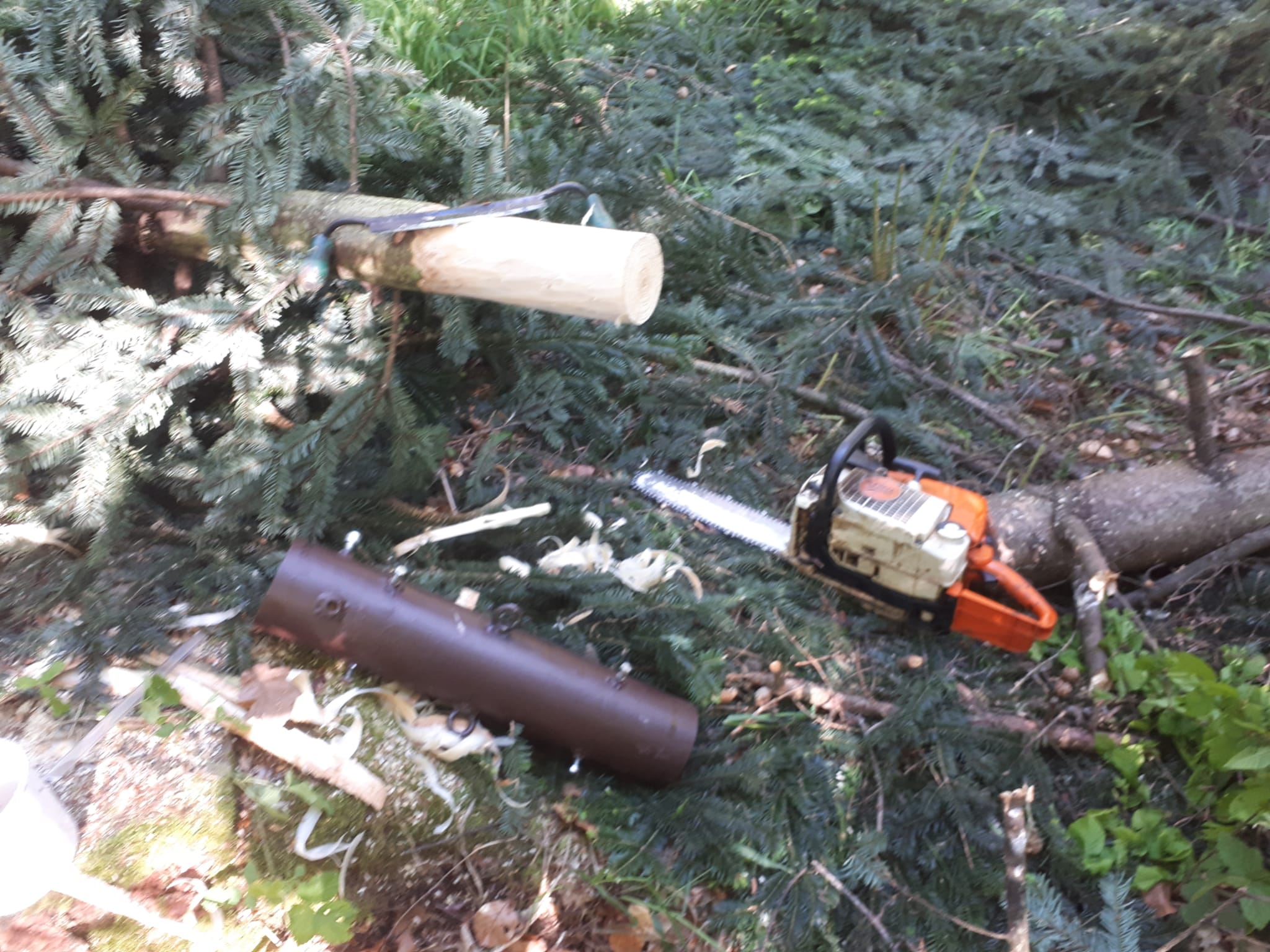 IMG-20250507-WA0044
