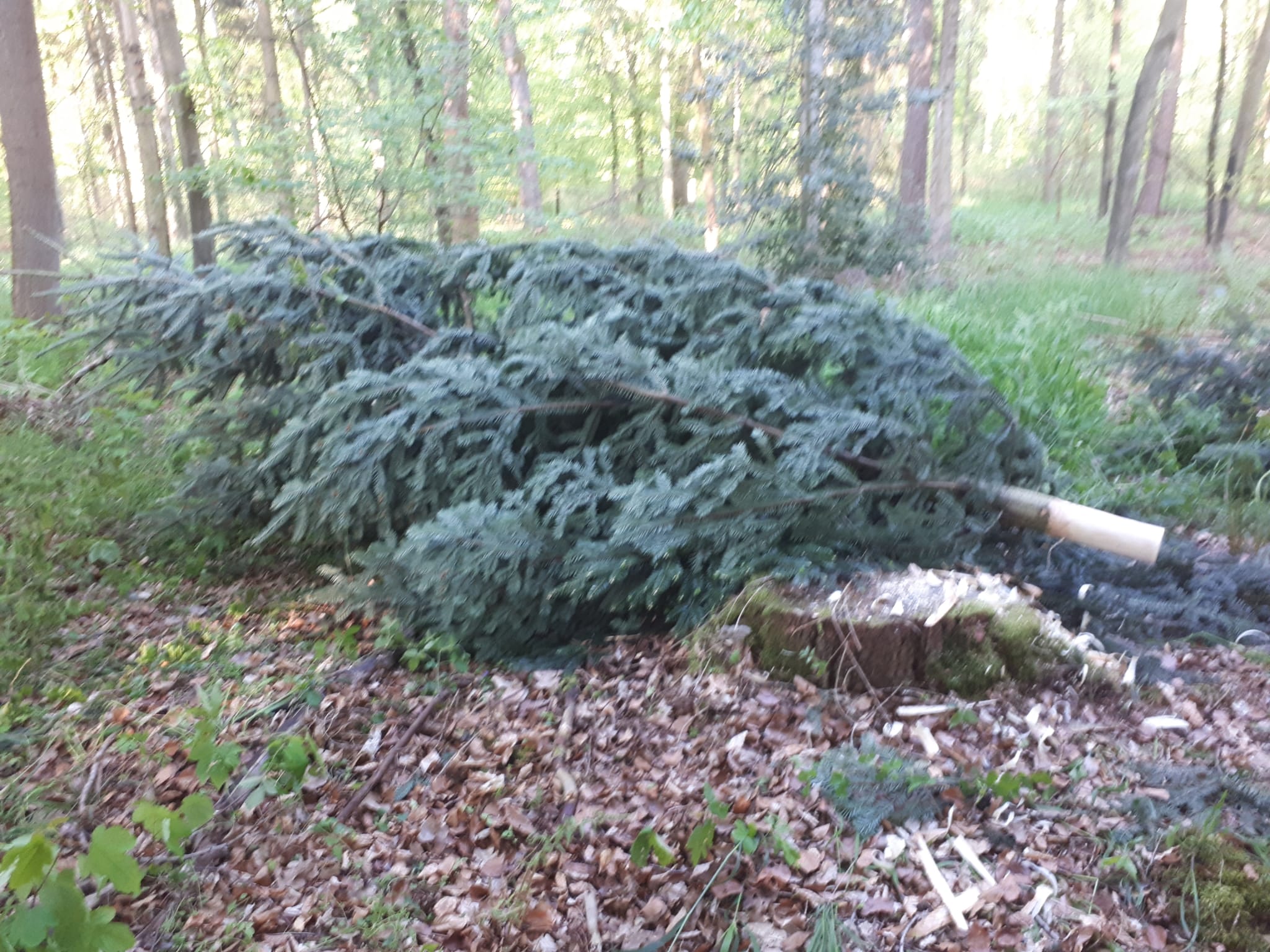 IMG-20250507-WA0045