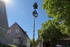 IMG-20250501-WA0037