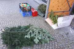 IMG-20250507-WA0040