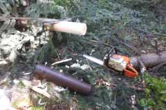IMG-20250507-WA0044
