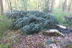 IMG-20250507-WA0045