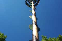 IMG-20250507-WA0052