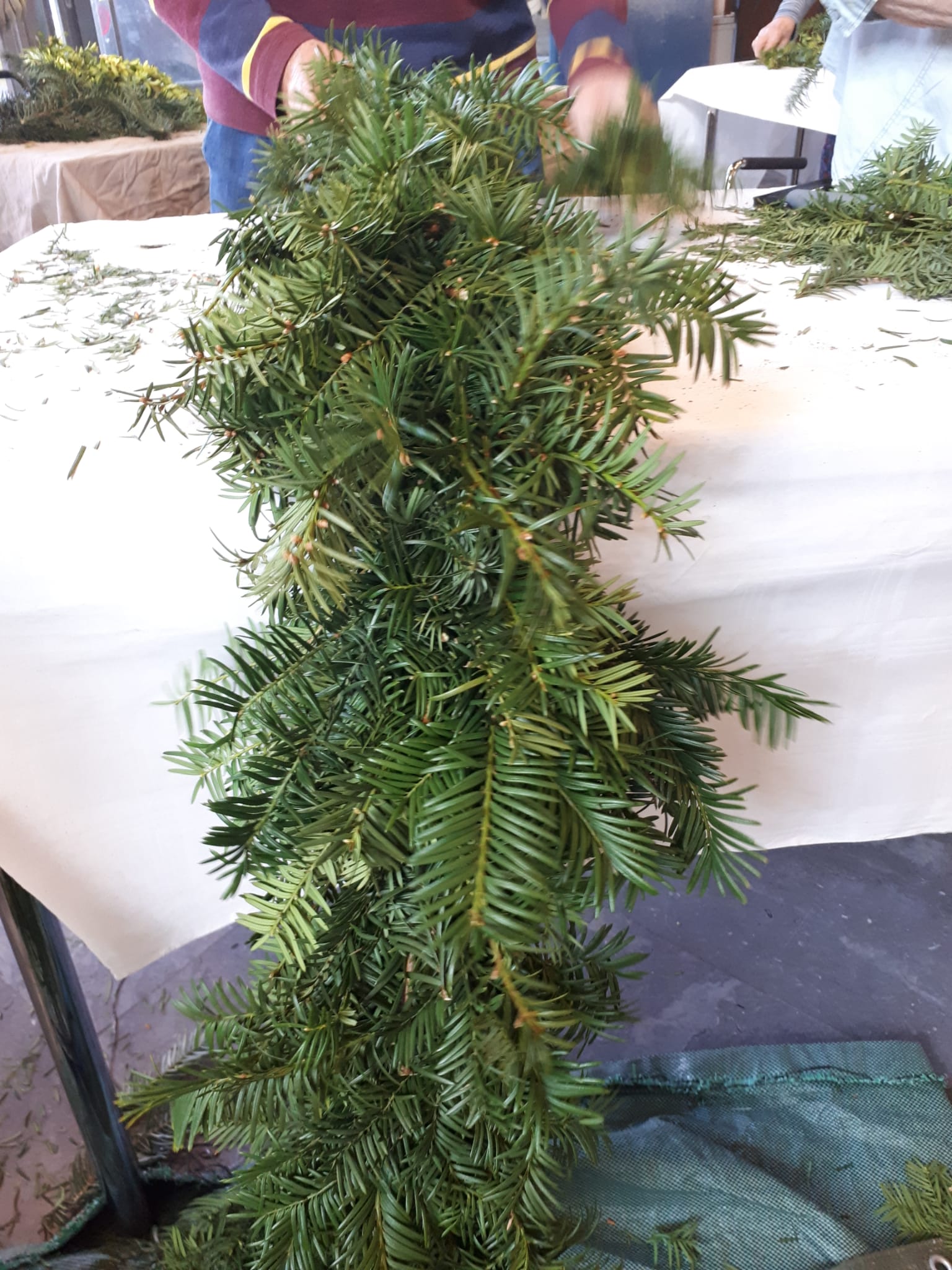 IMG-20250507-WA0038