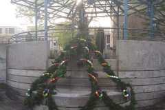 IMG-20250507-WA0026