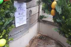 IMG-20250507-WA0029