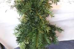 IMG-20250507-WA0038