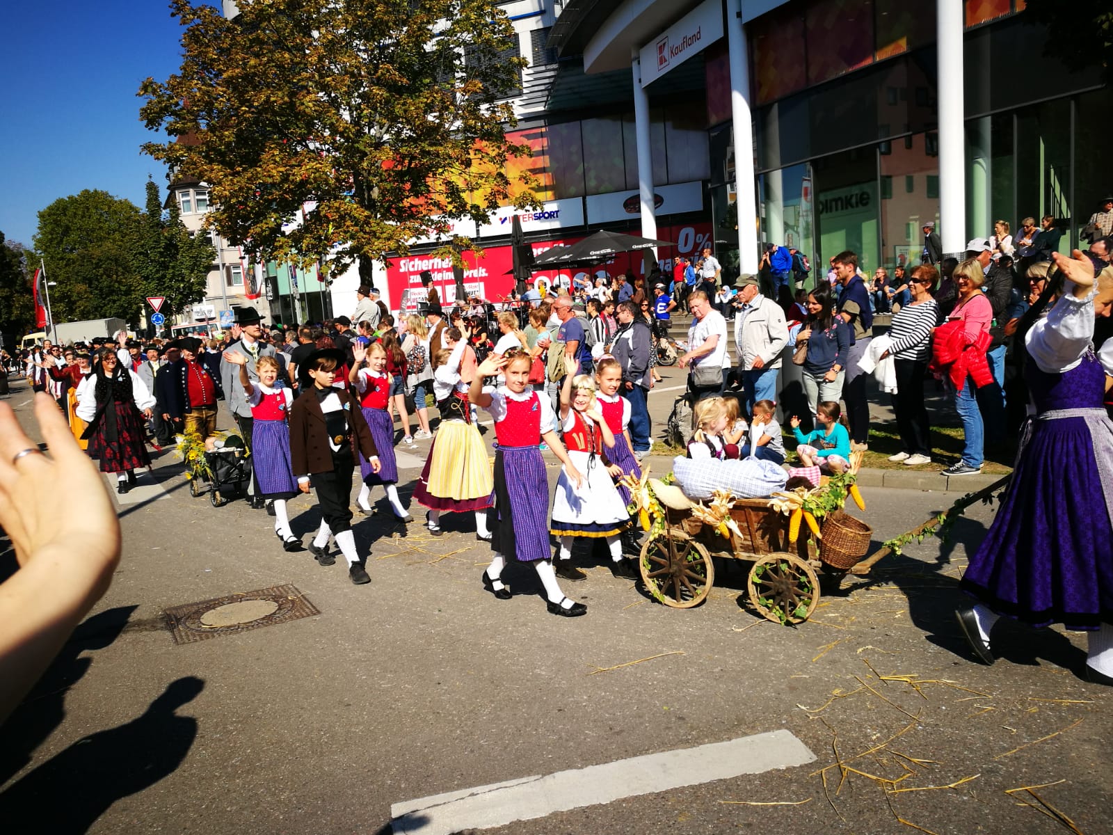 IMG-20181010-WA0030