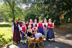 IMG-20181010-WA0009
