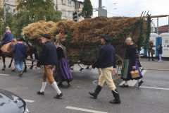 IMG-20220925-WA0067
