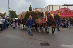 IMG-20220925-WA0073