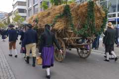 IMG-20220925-WA0083
