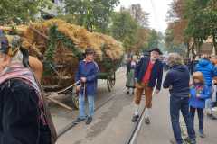 IMG-20220925-WA0097
