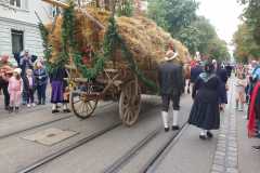 IMG-20220925-WA0112