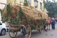 IMG-20220925-WA0123