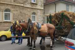 IMG-20220925-WA0124