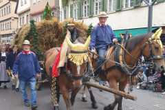 IMG-20220925-WA0136