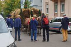 IMG-20220925-WA0190