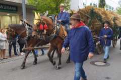IMG-20220925-WA0197