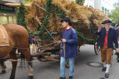 IMG-20220925-WA0200