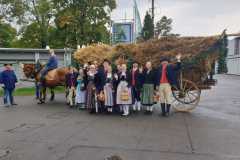 IMG-20220925-WA0207